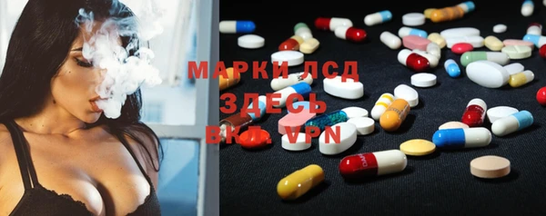 мяу мяу мука Ельня