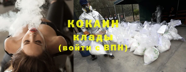 кокс Елизово