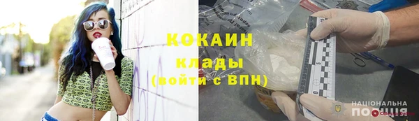 кокс Елизово