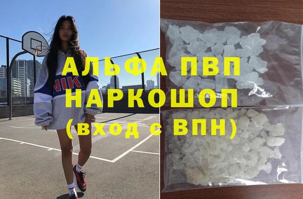 кокс Елизово