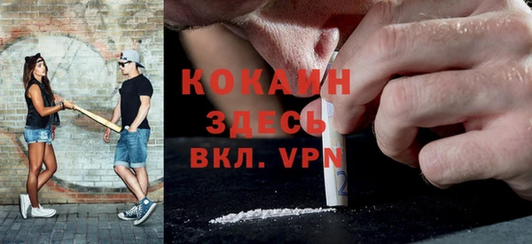 кокс Елизово