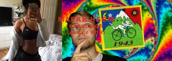 кокс Елизово