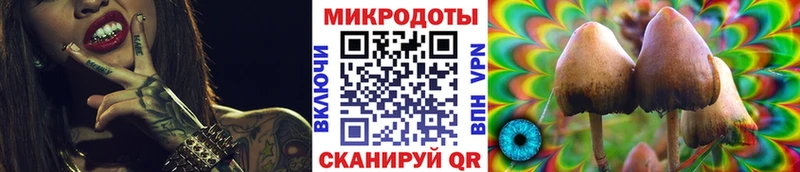 Галлюциногенные грибы ЛСД  Купить закладки  Кедровый 